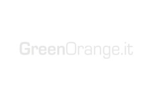 GREEN ORANGE